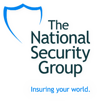 The National Security Group Logo